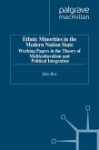Ethnic Minorities in the Modern Nation State (eBook, PDF)