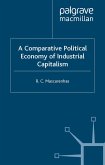 A Comparative Political Economy of Industrial Capitalism (eBook, PDF)