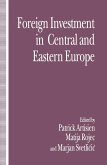 Foreign Investment and Privatization in Eastern Europe (eBook, PDF)