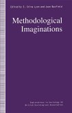 Methodological Imaginations (eBook, PDF)