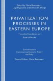 Privatization Processes in Eastern Europe (eBook, PDF)
