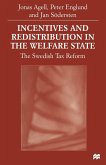 Incentives and Redistribution in the Welfare State (eBook, PDF)