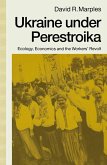 Ukraine under Perestroika (eBook, PDF)