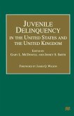 Juvenile Delinquency in the United States and the United Kingdom (eBook, PDF)