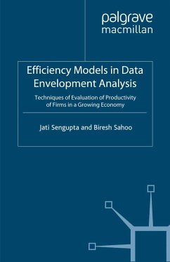 Efficiency Models in Data Envelopment Analysis (eBook, PDF)