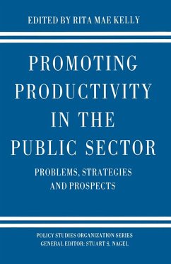 Promoting Productivity in the Public Sector (eBook, PDF)