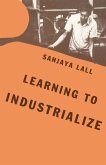Learning to Industrialize (eBook, PDF)