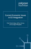 Current Economic Issues in EU Integration (eBook, PDF)