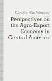 Perspectives on the Agro-Export Economy in Central America (eBook, PDF)