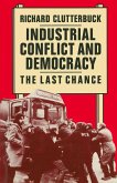 Industrial Conflict and Democracy (eBook, PDF)