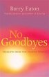 No Goodbyes (eBook, ePUB) - Bild 1
