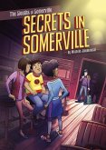 Secrets in Somerville (eBook, PDF)