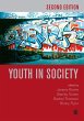 Youth in Society (eBook, PDF) - Bild 1