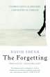The Forgetting (eBook, ePUB) - Bild 1
