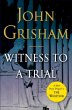 Witness to a Trial (eBook, ePUB) - Bild 1