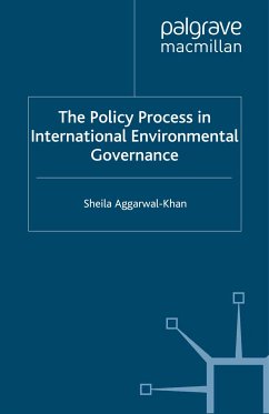 The Policy Process in International Environmental Governance (eBook, PDF)