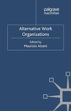 Alternative Work Organizations (eBook, PDF)
