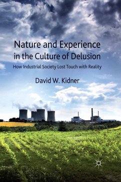 Nature and Experience in the Culture of Delusion (eBook, PDF)