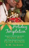 Holiday Temptation (eBook, ePUB)