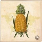 Kew Gardens - Untersetzer Motiv Ananas (2er Set)