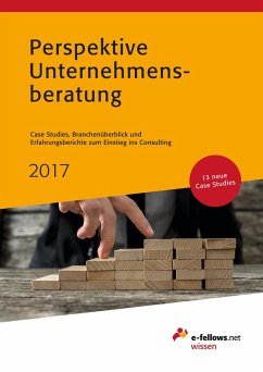 Perspektive Unternehmensberatung 2017 (eBook, ePUB)