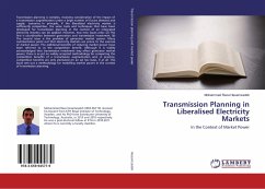 Transmission Planning in Liberalised Electricity Markets