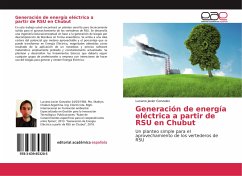 Generación de energía eléctrica a partir de RSU en Chubut