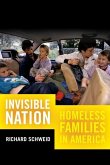 Invisible Nation (eBook, ePUB)