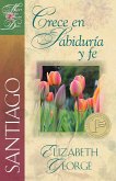 Santiago: Crece en sabiduria y fe (eBook, ePUB)