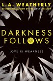 Darkness Follows (eBook, ePUB)