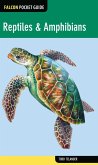 Reptiles & Amphibians (eBook, ePUB)