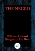 Negro (eBook, ePUB)