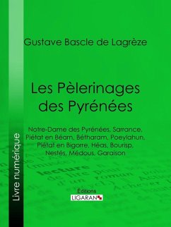 Les Pèlerinages des Pyrénées (eBook, ePUB) - Bascle de Lagrèze, Gustave; Ligaran