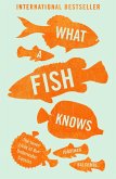 What a Fish Knows (eBook, ePUB)