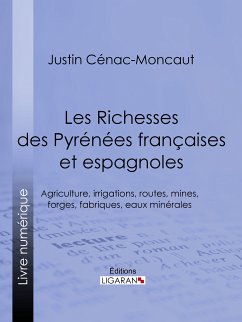 Les Richesses des Pyrénées françaises et espagnoles (eBook, ePUB) - Cénac-Moncaut, Justin; Ligaran