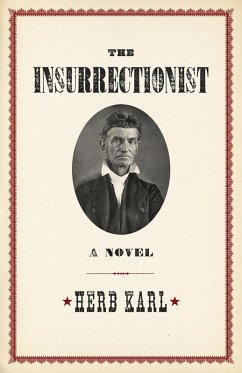 Cover The Insurrectionist (eBook, ePUB)