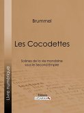 Les Cocodettes (eBook, ePUB)