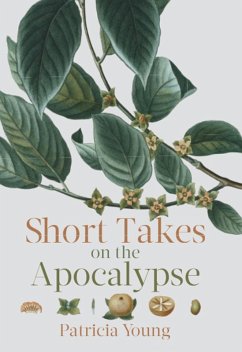 Short Takes on the Apocalypse (eBook, ePUB) - Young, Patricia