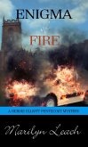 Enigma of Fire (eBook, ePUB)