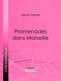 Promenades dans Marseille (eBook, ePUB)