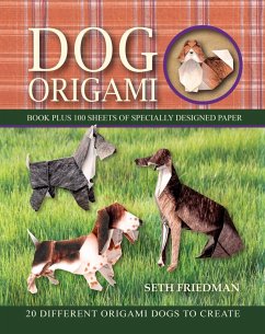 Cover Color-Gami (eBook, ePUB)