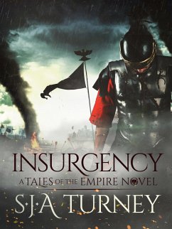 Cover Insurgency (eBook, ePUB)