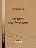Au pays des Pyrénées (eBook, ePUB)