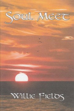 Cover Soul Meet (eBook, ePUB)
