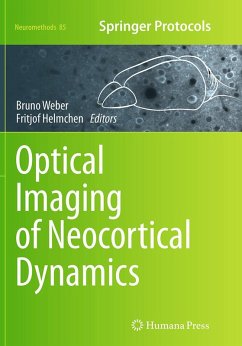 Cover Optical Imaging of Neocortical Dynamics