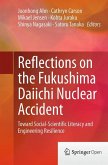 Reflections on the Fukushima Daiichi Nuclear Accident