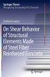 On Shear Behavior of Structural... - Bild 1