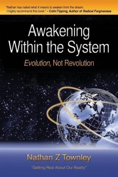 Awakening Within the System - Townley, Nathan Z