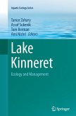 Lake Kinneret