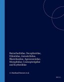 Batrachedridae, Oecophoridae, Ethmiidae, Autostichidae, Blastobasidae, Agronoxenidae, Momphidae, Cosmopterigidae and Scythrididae